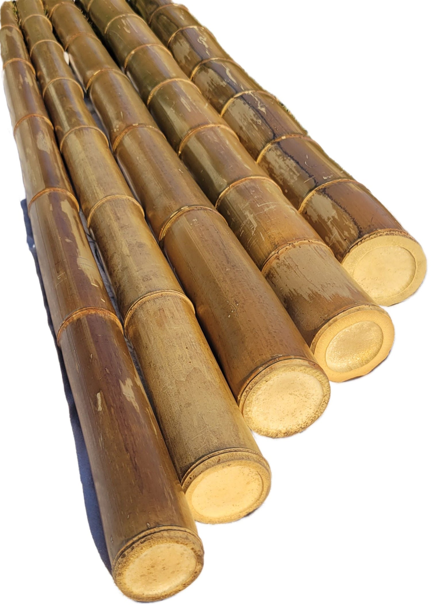 Natural Bamboo Poles