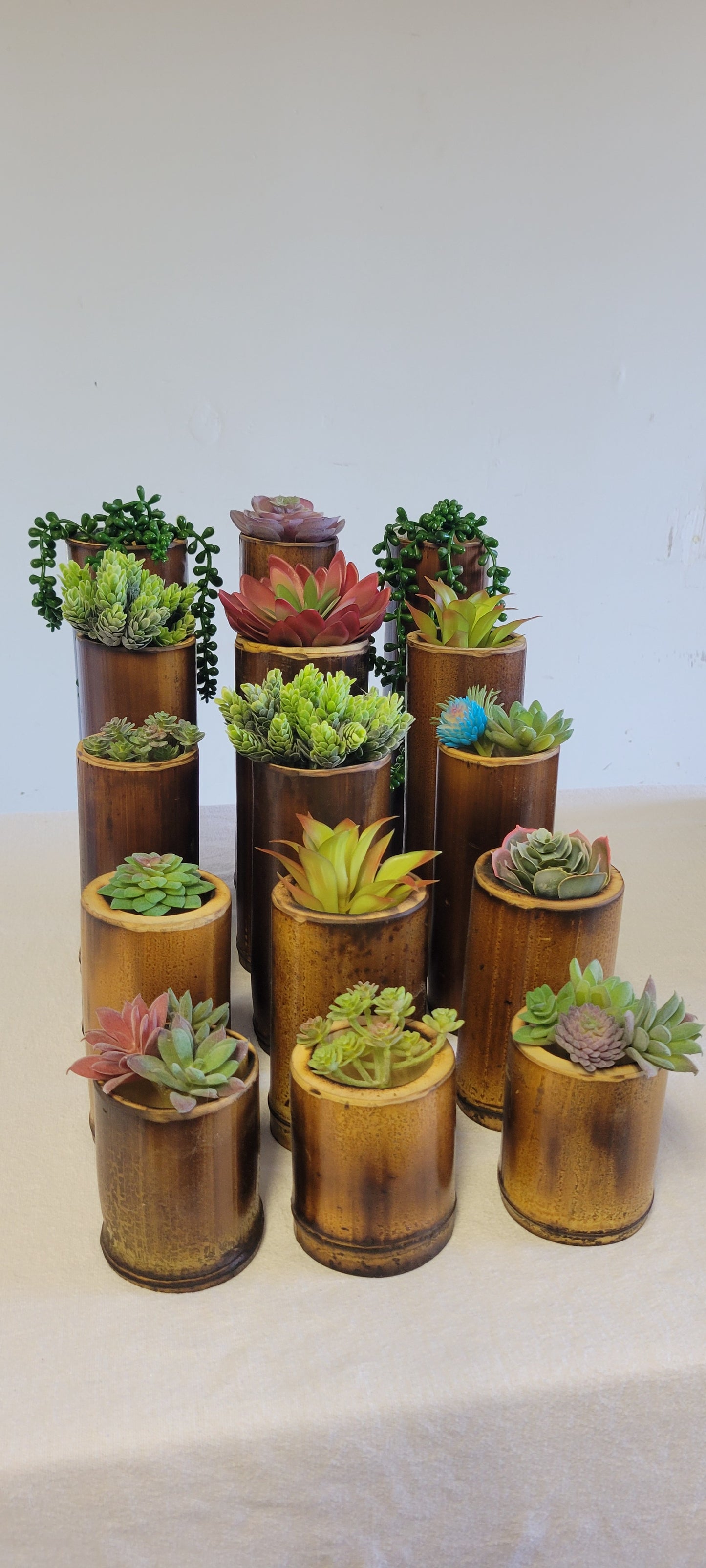 3"-3.5" Diameter - Flamed Bamboo Item Holder, Set Of 3. Choose from 4", 6", 8", 10" 12" heights. Flowers, brushes, pens, succulents, vases