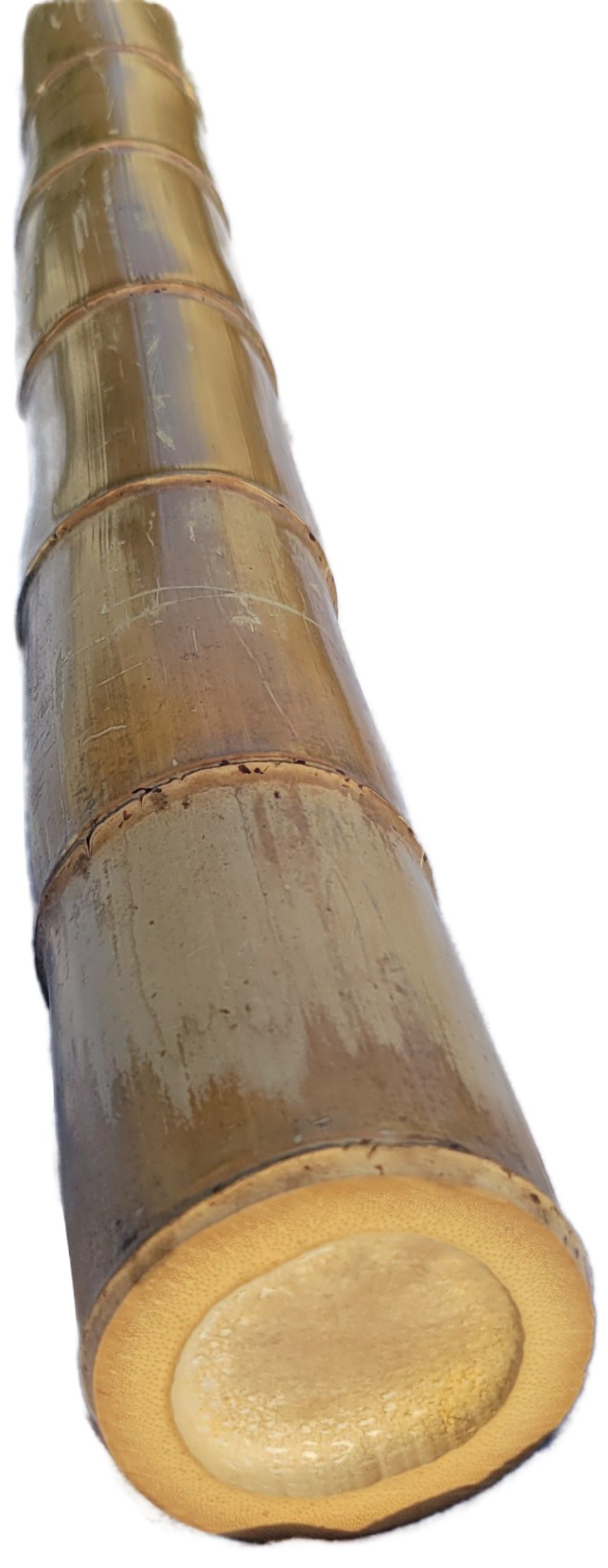 Natural Bamboo Poles, 4"- 4.5" Large and Extra-Large Bamboo Poles, Bamboo for Indoor and Outdoor, 3ft, 4ft, 5ft, 6ft, 7ft, 8ft Lengths, Flame Cured, Bamboo, Big Bamboo Decor